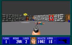 une photo d'Ã©cran de Wolfenstein 3D (PC) sur PC